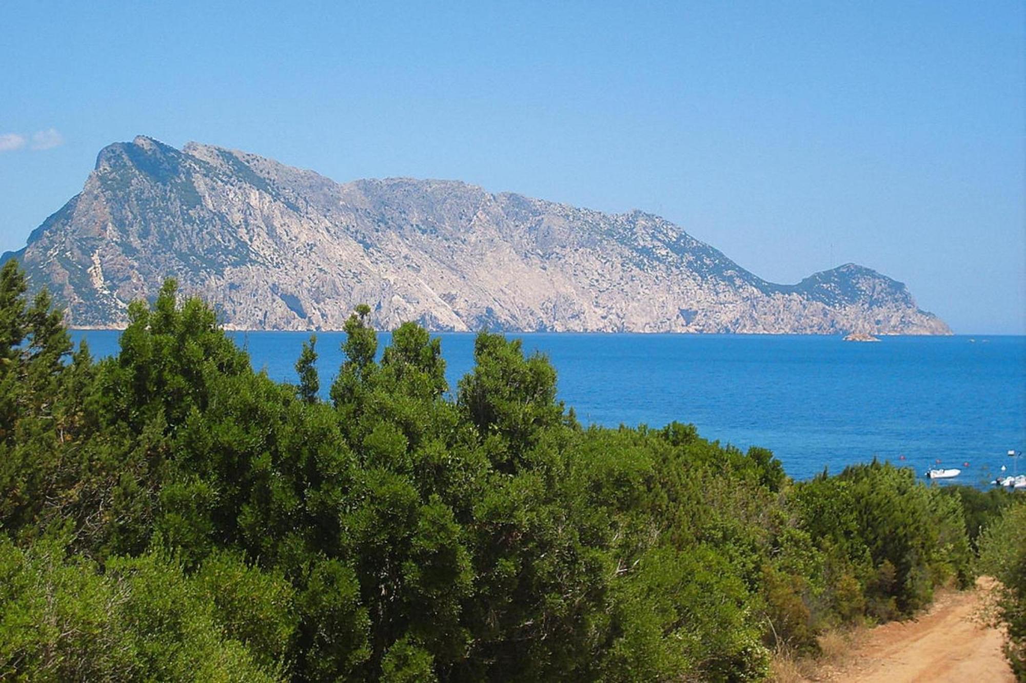 Residence La Tartaruga Monte Petruso San Teodoro San Teodoro  Dış mekan fotoğraf